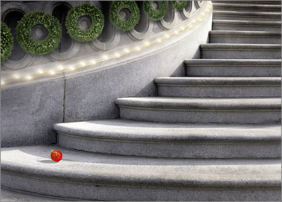 Christmas Steps (Glossy White) 