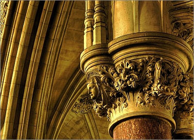 Gold Capital (Glossy White)