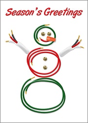 Wire Snowman